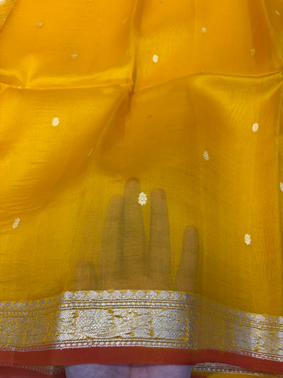 Pure handloom organza silk saree In Mustard yellow colour with rust orange piping border