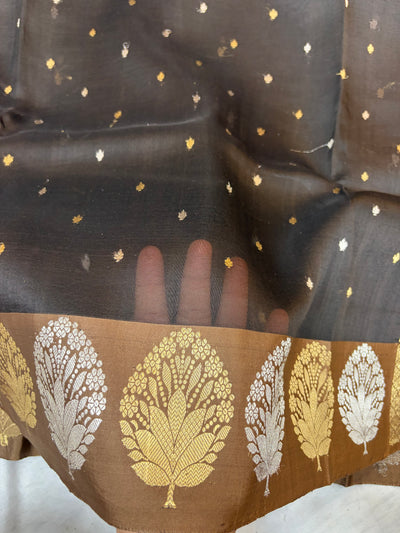 Pure handloom organza silk saree in dark brown colour