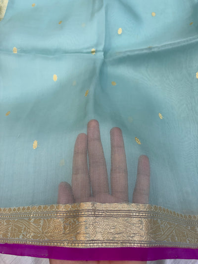 Pure handloom organza silk saree In powder blue colour with Magenta piping border