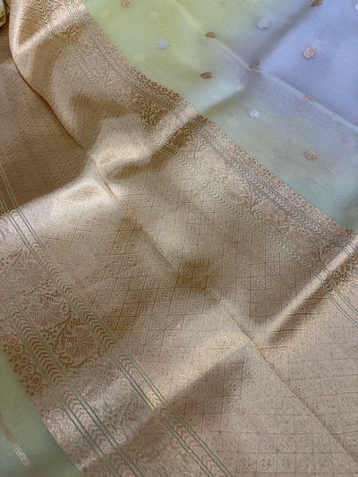 Pure handloom organza silk saree in pastel colour