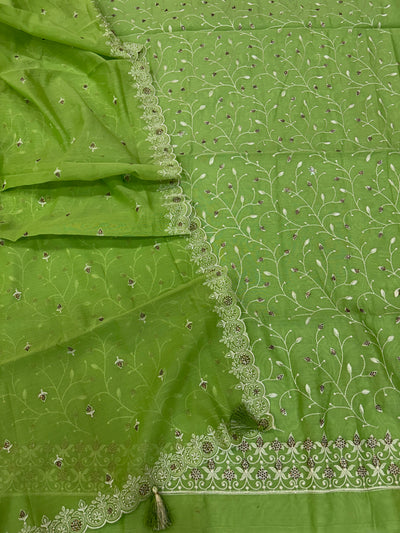 Banarasi pista green soft silk suit with all over embroidery work