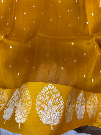 Pure handloom organza silk saree in dark yellow gold colour