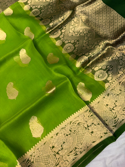Pure handloom kora silk saree in parrot green with bottle green with colour