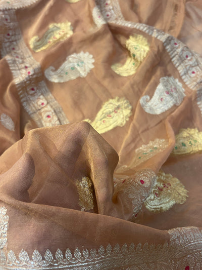 PURE KHADDI TISSUE SILK SAREE IN CHIKU COLOUR