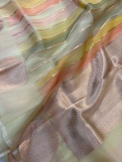 Pure handloom Rangkat organza silk saree in beautiful colours