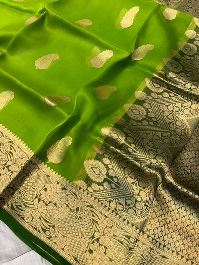 Pure handloom kora silk saree in parrot green with bottle green with colour