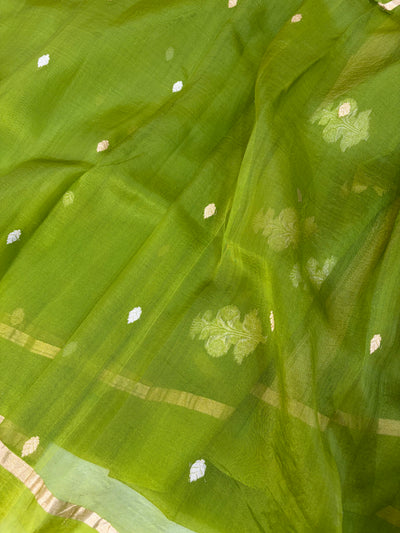 Pure handloom organza silk saree in olive green colour