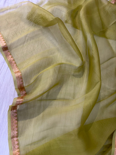 Pure handloom organza silk saree in pista green colour