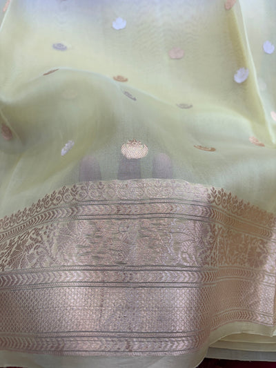 Pure handloom organza silk saree in pastel colour