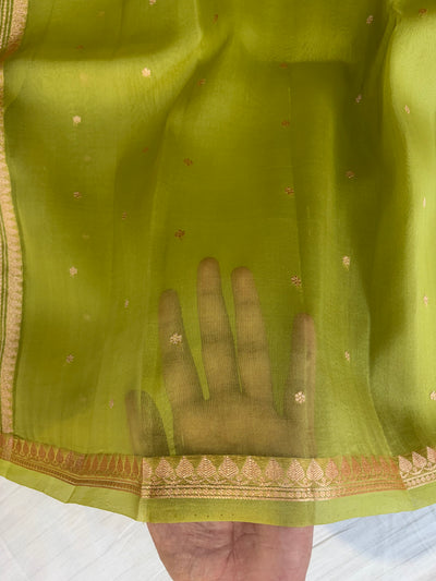 Pure handloom organza silk saree in pista green colour