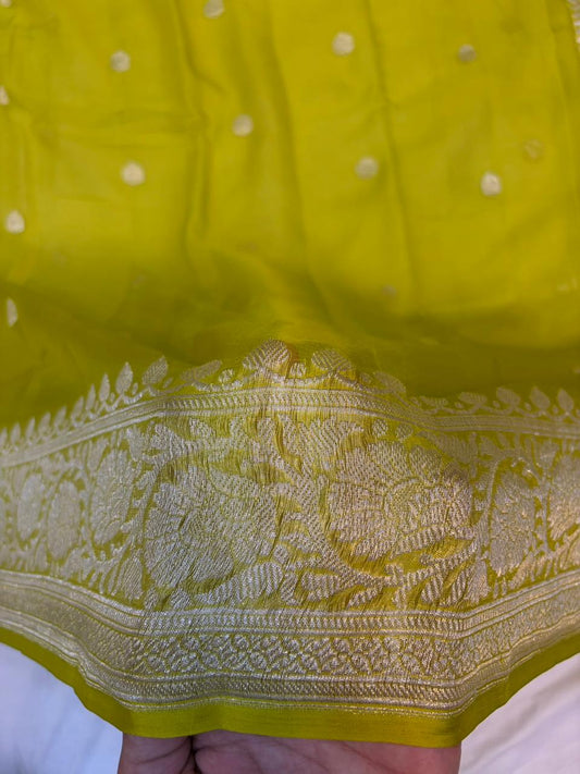 Pure khaddi chiffon Zari Banarasi Border Buti saree