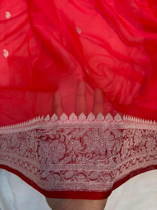 Contrast Pure khaddi chiffon Zari Border Buti saree