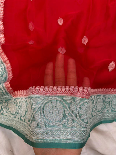 Powder Blue & Red Contrast Dyeble Khaddi Chiffio Saree