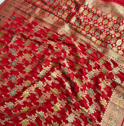 Red colour jaal georgette silk Banarasi saree with multiple meenakari work